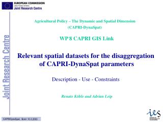 WP 8 CAPRI GIS Link