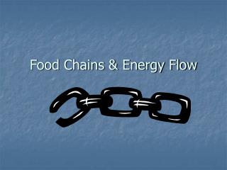 Food Chains & Energy Flow