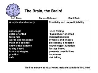 Left Brain 		 Corpus Collosum 	 Right Brain