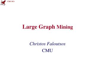 Large Graph Mining