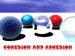 cohesion and adhesion