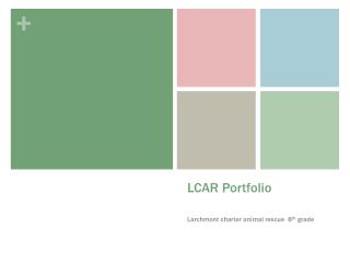 LCAR Portfolio