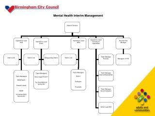 Mental Health Interim Management