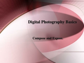 Digital Photography Basics