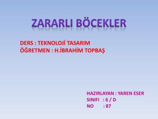 ZARARLI BÖCEKLER