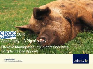 2010 Case Study – A Pig of a Day