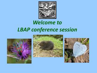 Welcome to LBAP conference session