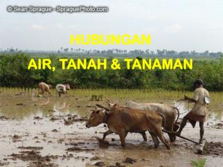 HUBUNGAN AIR, TANAH &amp; TANAMAN