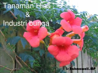 Tanaman Hias &amp; Industri bunga