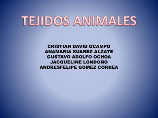 TEJIDOS ANIMALES