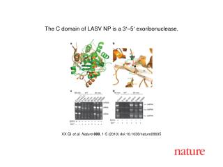 XX Qi et al. Nature 000 , 1-5 (2010) doi:10.1038/nature09605