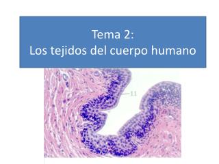 Tema 2: Los tejidos del cuerpo humano