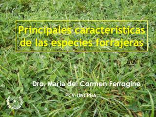 Principales características de las especies forrajeras