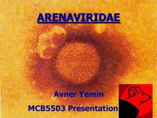 ARENAVIRIDAE