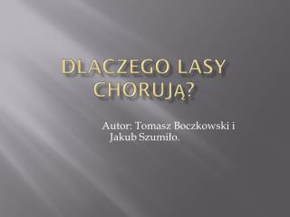 Dlaczego lasy chorują?