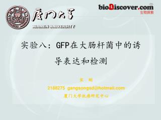 实验八： GFP 在大肠杆菌中的诱导表达和检测