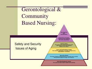 Gerontological &amp; Community Based Nursing: