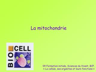 La mitochondrie