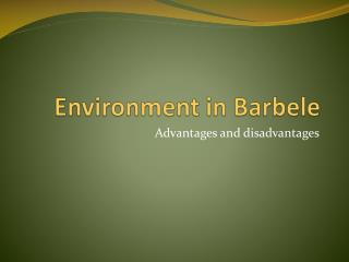 Environment in Barbele