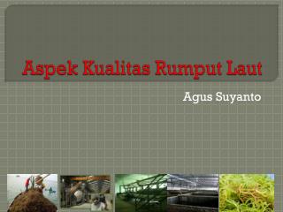 Aspek Kualitas Rumput Laut