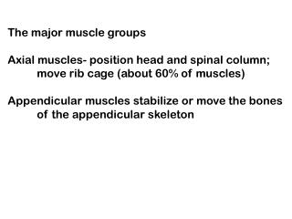 The major muscle groups Axial muscles- position head and spinal column; 	move rib cage (about 60% of muscles) Appendicul