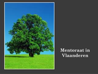 Mentoraat in Vlaanderen