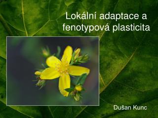 Lokální adaptace a fenotypová plasticita