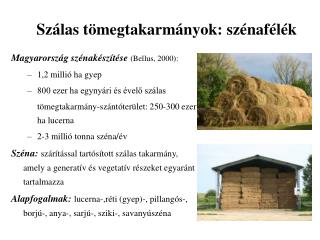 Szálas tömegtakarmányok: szénafélék