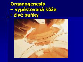 Organogenesis – vypěstovaná kůže - živé buňky