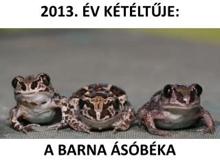 2013. ÉV KÉTÉLTŰJE: A BARNA ÁSÓBÉKA