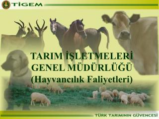 TARIM İŞLETMELERİ GENEL MÜDÜRLÜĞÜ (Hayvancılık Faliyetleri)