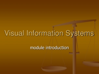 Visual Information Systems