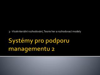 Systémy pro podporu managementu 2