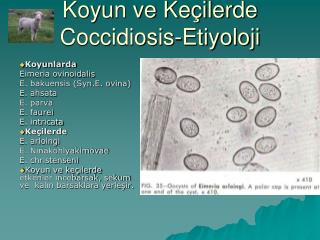 Koyun ve Keçilerde Coccidiosis-Etiyoloji