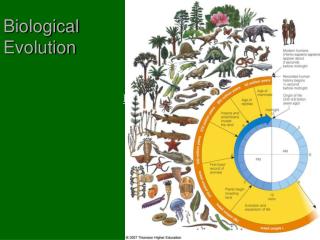 Biological Evolution