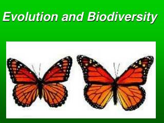 Evolution and Biodiversity