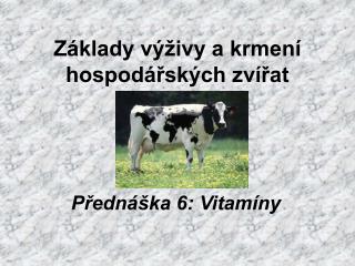 Základy výživy a krmení hospodářských zvířat