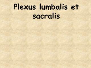 Plexus lumbalis et sacralis