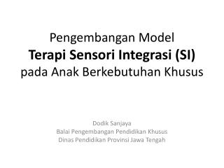 Pengembangan Model Terapi Sensori Integrasi (SI) pada Anak Berkebutuhan Khusus