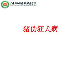 猪伪狂犬病