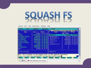 Squash FS