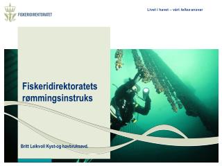 Fiskeridirektoratets rømmingsinstruks