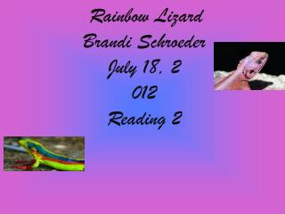 Rainbow Lizard Brandi Schroeder July 18, 2 012 Reading 2