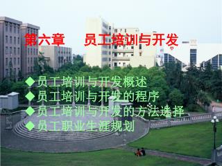 第六章 员工培训与开发 员工培训与开发概述 员工培训与开发的程序 员工培训与开发的方法选择 员工职业生涯规划