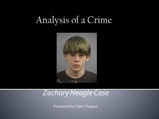 Zachary Neagle Case