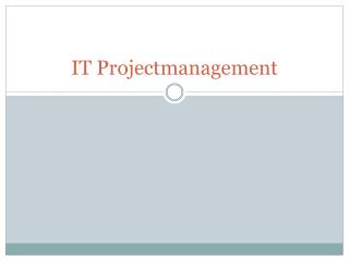 IT Projectmanagement
