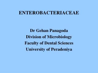 ENTEROBACTERIACEAE