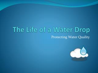 The Life of a Water Drop