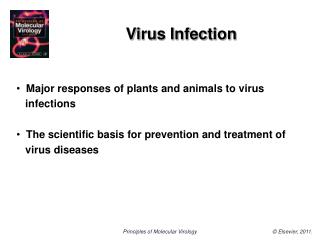 Virus Infection