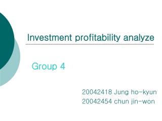 Investment profitability analyze